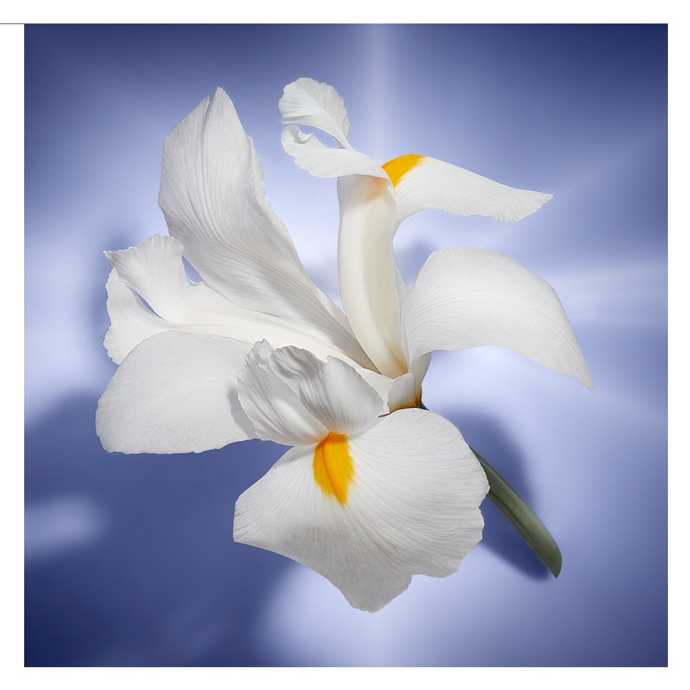 product-3-undefined