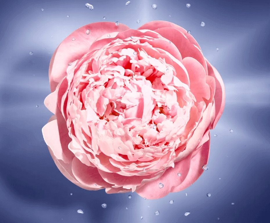 product-6-undefined